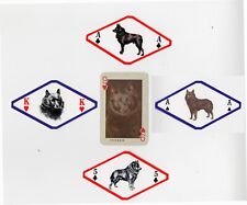 Schipperke collection single for sale  COLEFORD