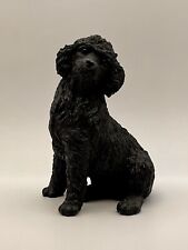 Cute black cockapoo for sale  CRAMLINGTON