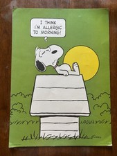 Peanuts snoopy vintage for sale  Grapevine