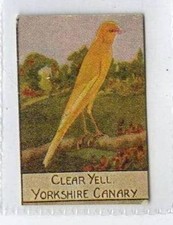 Spratts british bird for sale  WITHERNSEA