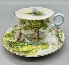 Vintage shelley teacup for sale  Granville