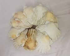 Large clean cornish for sale  HELSTON