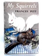 Squirrels for sale  UK