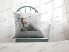 Football personalised cushion for sale  YELVERTON