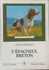 Epagneul breton marangoni usato  Italia