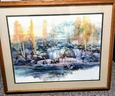 Adin shade falls for sale  Columbus