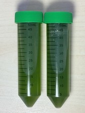 100ml phytoplankton starter for sale  Lynnwood