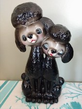 dog poodle for sale dog poodle for sale Stevens Point