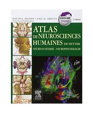 Atlas neurosciences humaines gebraucht kaufen  Trebbin