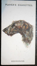 Scottish deerhound vintage for sale  DERBY