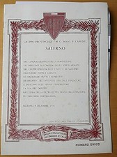 Gruppo provinciale magg. usato  Salerno