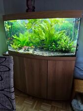 240 aquarium panoramascheibe gebraucht kaufen  Caputh