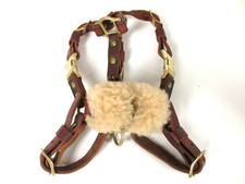service dog supplies for sale service dog supplies for sale Denver