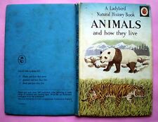 Animals live ladybird for sale  CHICHESTER