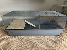 Large cage hamsters for sale  LONDON