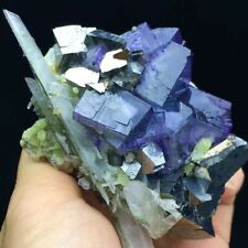 155g translucent purple d'occasion  Expédié en Belgium