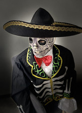 Fasching skelettkostüm skull gebraucht kaufen  Würzburg