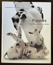 Puppies wet noses for sale  Lake Havasu City