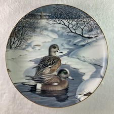 American wigeon plate for sale  Vergas