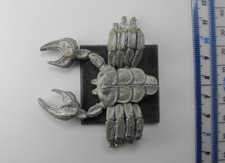 Giant scorpion metal for sale  HAVERHILL