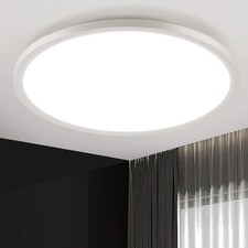 30w led deckenleuchte gebraucht kaufen  Ginsheim-Gustavsburg