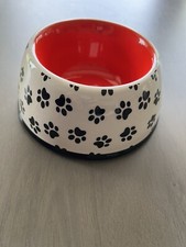 Cat dog pet for sale  Arvada