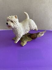 Westie dog west for sale  SHANKLIN