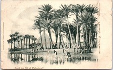 Egypte bord nil d'occasion  France
