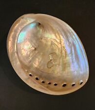 Abalone shell polished for sale  Austin