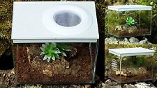 stick insects box for sale  LOWESTOFT