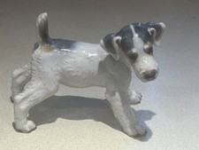 fox terrier for sale fox terrier for sale ANDOVER