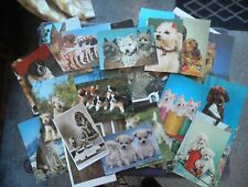 Postcards dogs puppies for sale  NOTTINGHAM