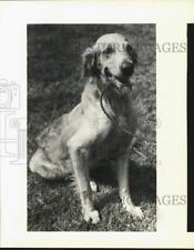 1990 press photo for sale  Memphis