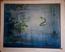 Eileen soper vintage for sale  HELSTON