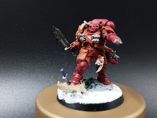 Primaris captain space gebraucht kaufen  Geldern