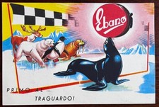 N.2 cartoline pubblicitarie usato  Salizzole