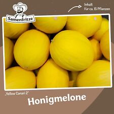 Honigmelone canari yellow gebraucht kaufen  Sinsheim