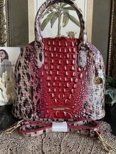 Great fall brahmin for sale  Duncanville
