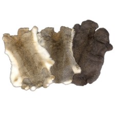Großes hasenfell kaninchenfel gebraucht kaufen  Langdorf