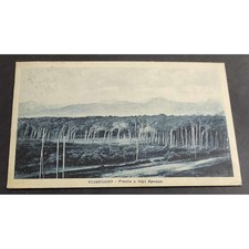 Cartolina viareggio pineta usato Cartolina viareggio pineta usato  Alessandria