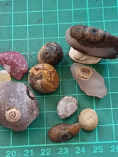 Gobi eyes agate for sale  ABERAERON