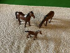 Elc horses male for sale  CARNOUSTIE