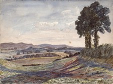 Fabian colenutt watercolour for sale Fabian colenutt watercolour for sale  UK