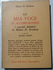 Mia voce accompagnerà usato  Italia