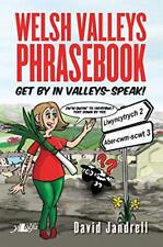 Welsh valleys phrasebook for sale  AMMANFORD