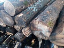 Drechselholz deko holz gebraucht kaufen  Röhrnbach