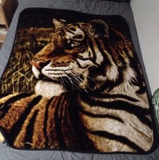 Northwest co. tiger for sale  Dulce