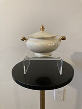 eggshell nautilus for sale eggshell nautilus for sale North Babylon