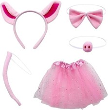 Pink pig fancy for sale  KIDDERMINSTER