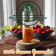 Kombucha scoby organic for sale  KINBRACE